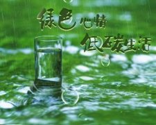 張成榮電烤雞架，爭(zhēng)做綠色低碳餐飲小吃先鋒品牌！