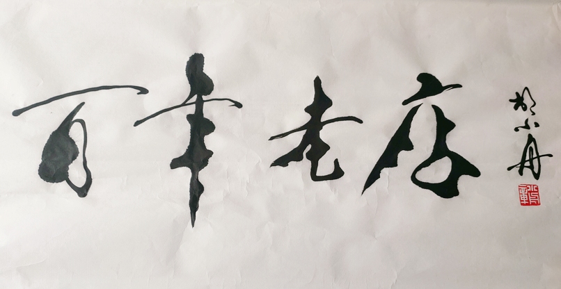空心字大師胡小舟題字